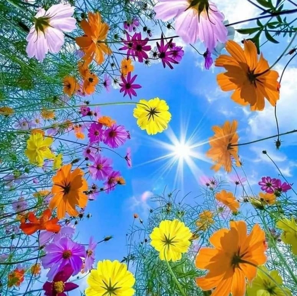 Meet your Posher, Stacy - Picture 1 of 1